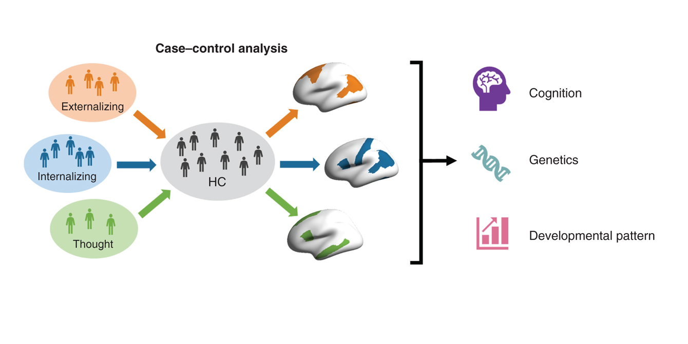 Graphical overview of the study’s case–control analysis.